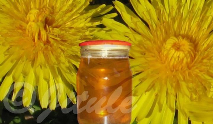 Pampeliškový med | recept na domácí med