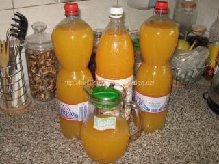 Domácí pomerančový džus | recept