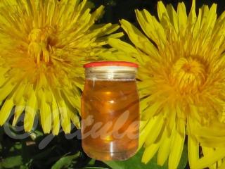 Pampeliškový med | recept na domácí med