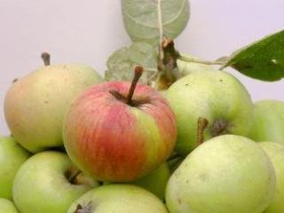 Jablečný sirup | recept na šťávu od Kajdy