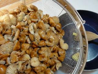 Jak připravit houbové šišky se smetanovou omáčkou | staročeský recept