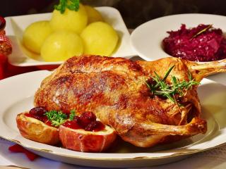 Svatomartinská husa
